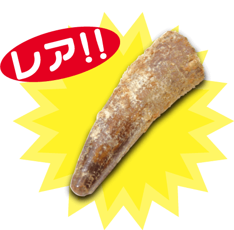 スピノサウルスの歯