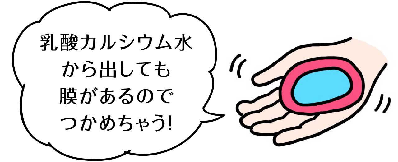 乳酸カルシウム水から出しても、膜があるのでつかめちゃう！