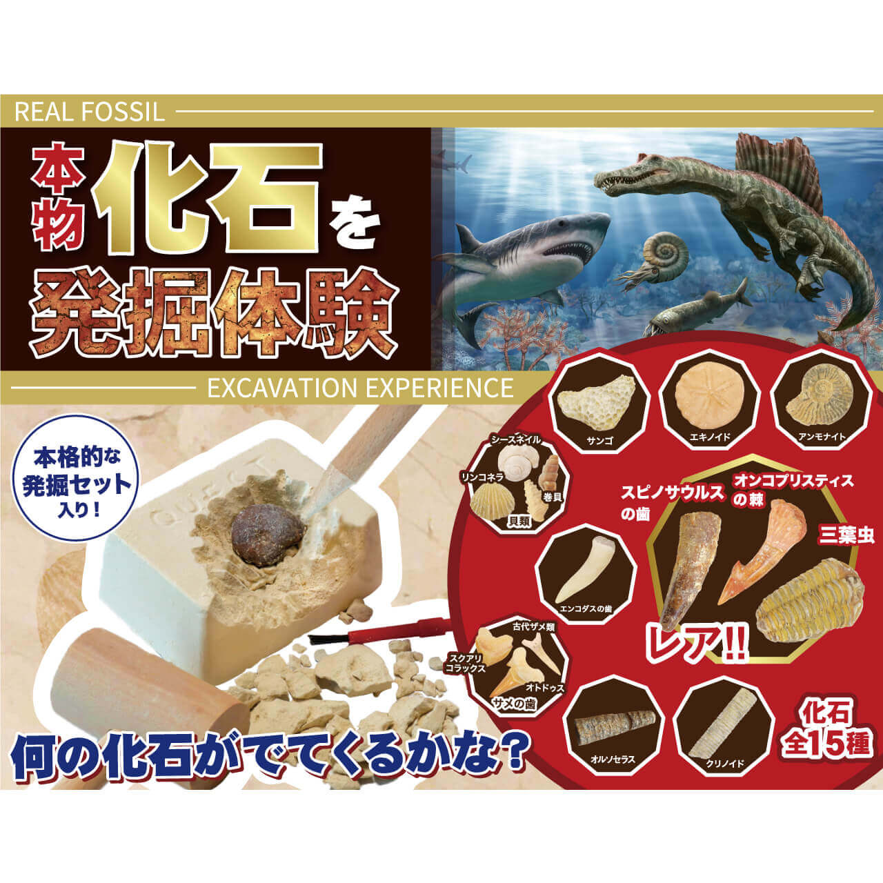 お宝発掘シリーズ 色備前 松尾芭蕉（触れる図鑑 公式サイト まだ