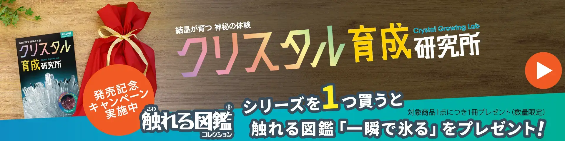 トップバナー
